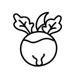 Kohlrabi vegetable vector icon, healthy food outline illustration, organic produce