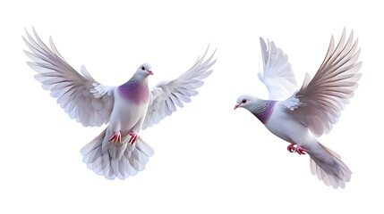Pack of Flying Dove Set Against Transparent Background for Peace, Religious, or Design Themes