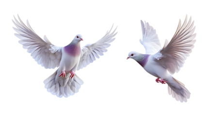 Pack of Flying Dove Set Against Transparent Background for Peace, Religious, or Design Themes