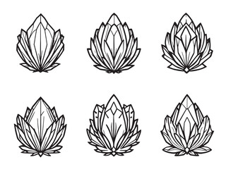 Crystal Blush line art illustration