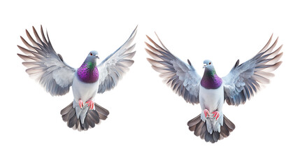 Pack of Flying Dove Set Against Transparent Background for Peace, Religious, or Design Themes