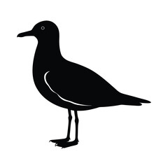 Gull Silhouette Vector Art – Black and White Seagull Bird Illustration Design