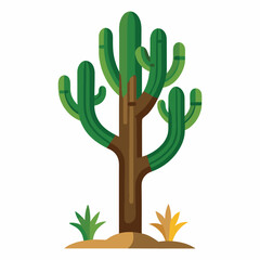 Cactus vector and illustration.