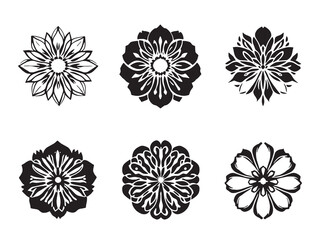 everlasting flower simple line art black on white background