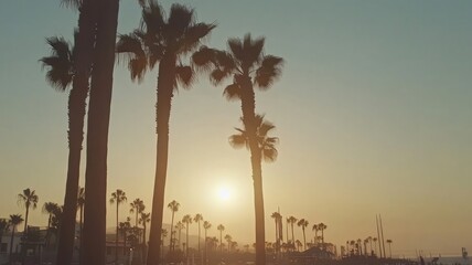 Obraz premium Silhouette Palm Trees at Sunset Beach