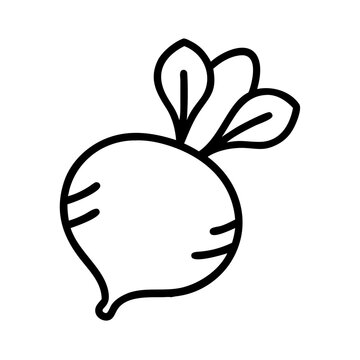 recommend clip art: Illustration of fresh beet vegetable outline for healthy eating and cooking ideas