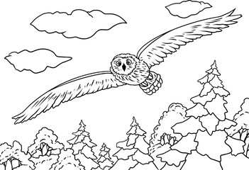 owl flies coloring book