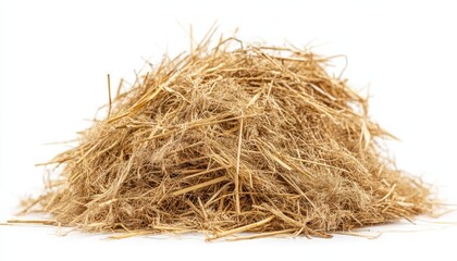 Obraz premium a heap of dried hay on white background