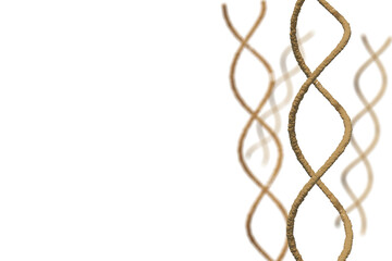 DNAの二重螺旋のイメージ