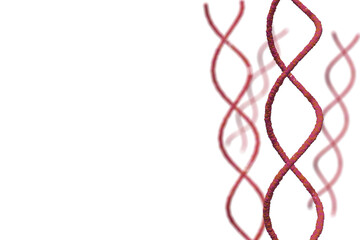 DNAの二重螺旋のイメージ