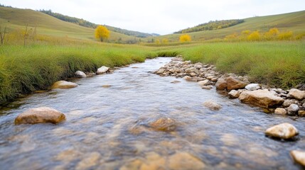 Naklejka premium Clear Stream Rocks and Grass Calm Natural Style High-resolution Sharp Focus Landscape Wide Shot Flowing Water Autumn Meadow Serene Greens Ideal for Nature Documentaries