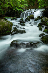 新緑の中を流れる滝と清流4