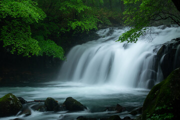 Obraz premium 初夏の滝の清らかな流れ4