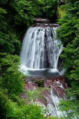 Obraz premium 初夏の滝の清らかな流れ1