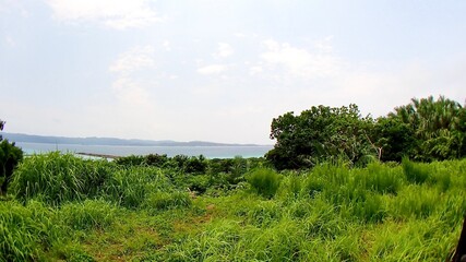 沖縄県八重山諸島鳩間島にある物見台から見える風景