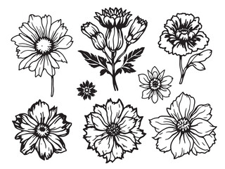 Indian Paintbrush black line art on white background