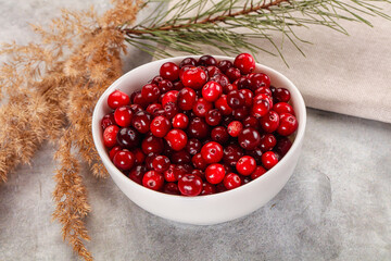 Ripe sweet sour cranberry heap
