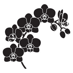 Vector Black silhouettes of orchid flowers. illustration. with white background