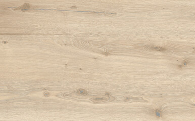 High quality wood texture. Wood texture for design.	