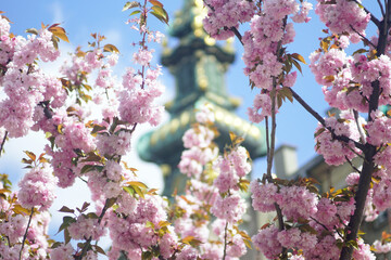 Spring in the historical part of Belgrade: a landscape from the Kosancicev venac area with lushly...