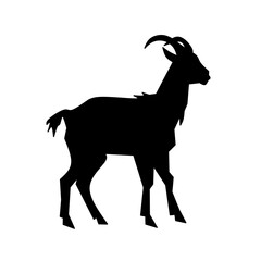 goat vector illustration
