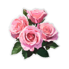 Pink rose isolated on transparent background cutout