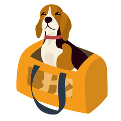 beagle dog in carrier
