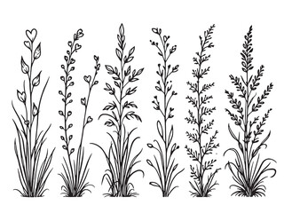 Fototapeta premium Love Grass black line art white background single clear vision