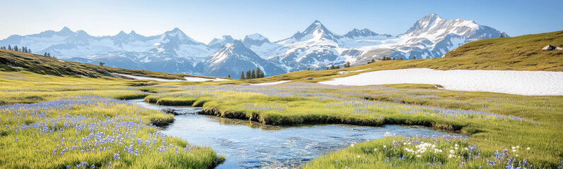 Obraz premium Blooming meadow with patches of melting snow revealing fresh grass and tiny mountain flowers. Beautiful natural background in springtime.