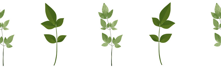  Leaves border on a white background. Hand-drawn illustration. Perfect for spring and summer.