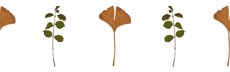  Leaves border on a white background. Hand-drawn illustration. Perfect for spring and summer.