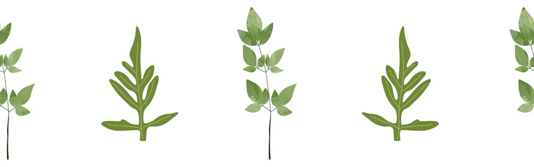  Leaves border on a white background. Hand-drawn illustration. Perfect for spring and summer.