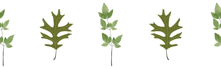  Leaves border on a white background. Hand-drawn illustration. Perfect for spring and summer.