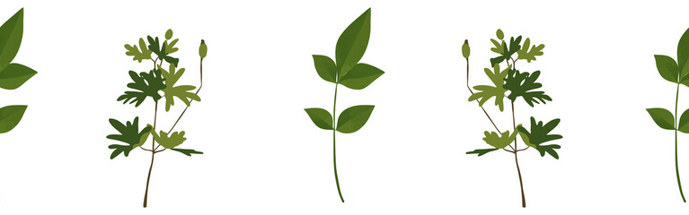 Leaves border on a white background. Hand-drawn illustration. Perfect for spring and summer.