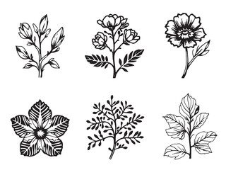 Mountain Laurel Simple Line Art on White Background