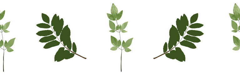 Leaves border on a white background. Hand-drawn illustration. Perfect for spring and summer.