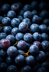 Harvested blue grapes background. Wet berries. Vertical layout