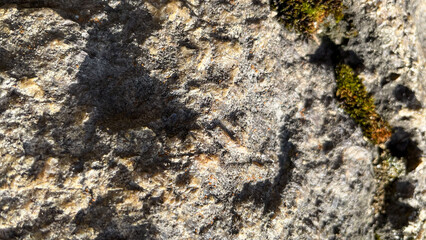 Grey stone wall with cracks. Texture Background. Closeup