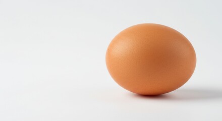 Fototapeta premium Single brown egg on white background with soft shadow and smooth shell surface in studio lighting