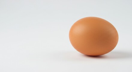 Fototapeta premium Single brown egg on a plain white background with soft shadow creating a minimalist composition