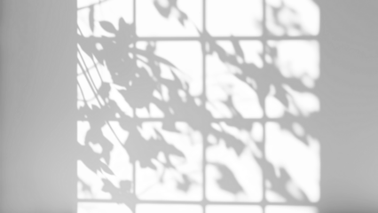 shadow overlay effects of realistic window and tree branch shadow with light blur on transparent background,Summer sunlight and shadow overlay effect
