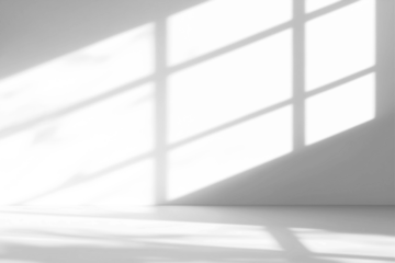 shadow overlay effects of realistic window and tree branch shadow with light blur on transparent background,Summer sunlight and shadow overlay effect