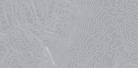 Topographic Map Background with Detailed Contour Lines and Geometric Circles: An Abstract Representation of Geographic Features, Elevation Changes, and Natural Terrain in a Clean, Modern Design