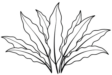 Organic Staghorn Fern Leaf Illustration