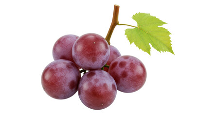 Isolated Red Grapes
