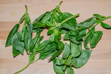 Fresh basil from Ethiopia