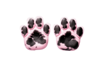 A top-down shot of a puppy tiny pink and black paws resting gently on a smooth Isolated on white background