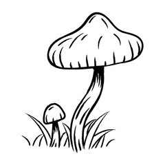 Sketch mushroom. Hand drawn forest mushroom with grass. Mushrooms hand drawn illustration. Mushroom line art vector