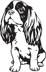 Obraz premium Dog Cavalier King Charles Spaniel. Hand drawn vector illustration 