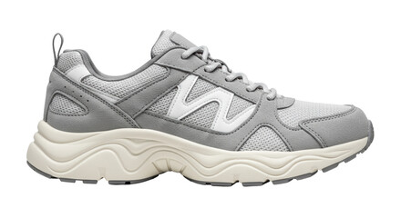 Isolated Gray and White Sneaker